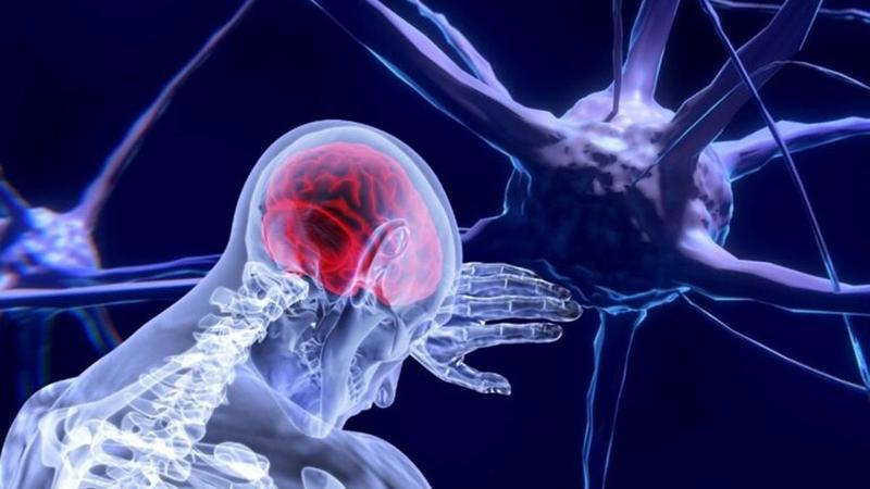 ¡Sorpresa! ¡Unanimidad! ¡Sorpresa! ¡Unanimidad!