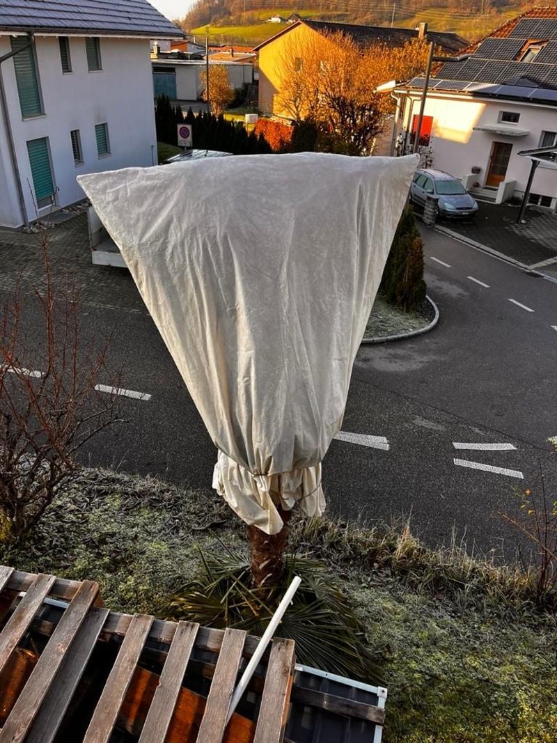 Mich bringt nichts auf die Palme