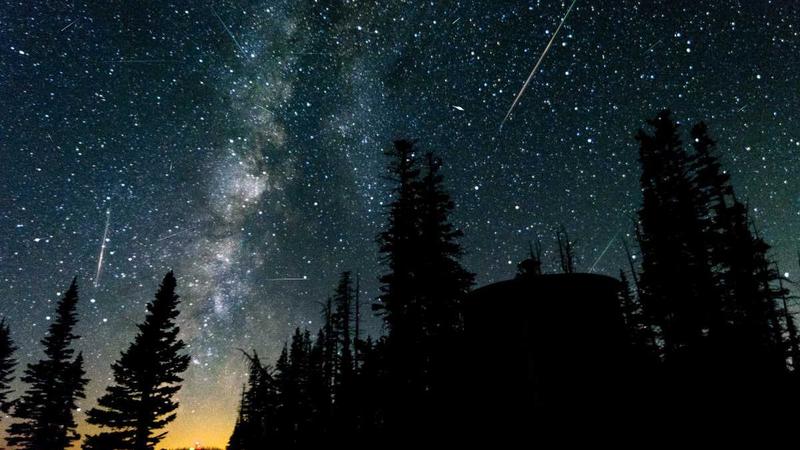 Weekend 21-23 novembre 2025: a Milano e nelle province lombarde 10 eventi speciali che illuminano l’atmosfera