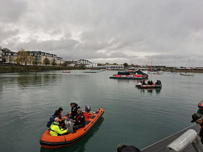 Thousands of oysters are being re-introduced to Dublin Bay as nature’s super water cleaners