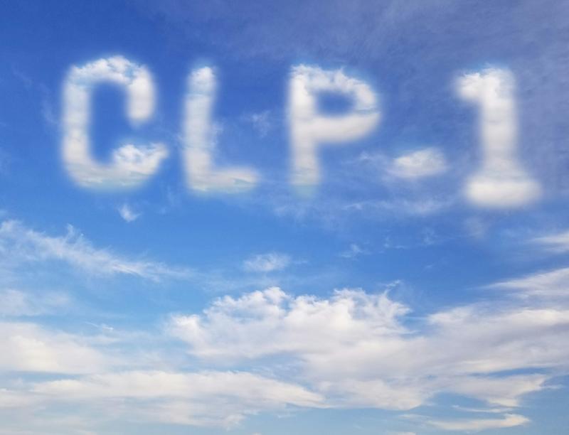 Making GLP-1 weight loss drugs cheaper isn’t enough to address America’s obesity problem – here’s why Making GLP-1 weight loss drugs cheaper isn’t enough to address America’s obesity problem – here’s why