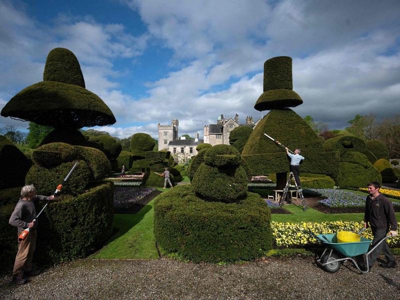 The Right Chemistry: How the yew tree can deliver life … or death