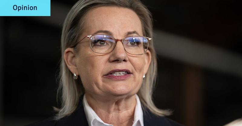 The lost art of opposition: Is it a role beyond salvage for Sussan Ley?