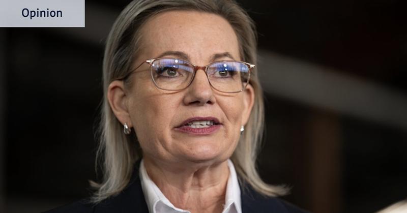 The lost art of opposition: Is it a role beyond salvage for Sussan Ley? The lost art of opposition: Is it a role beyond salvage for Sussan Ley?