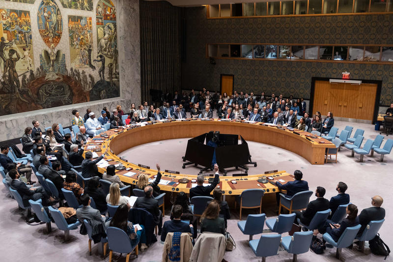 Security Council Shamefully Grants Colonial Domination Over Palestine to the US