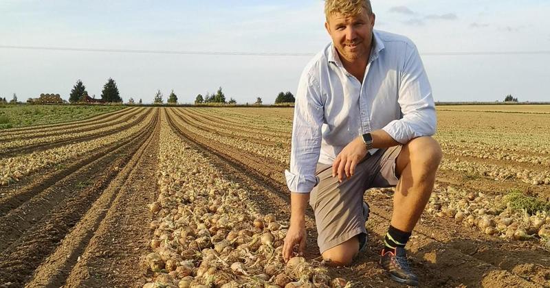 Grower group's new chairman wants vital £40m fruit and veg funding renewed