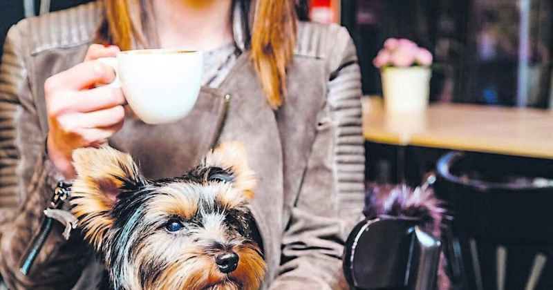 Cork Views: City initiative is a boost for coffee culture