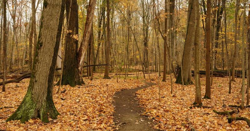 My View: An older friend provides an inspirational role model