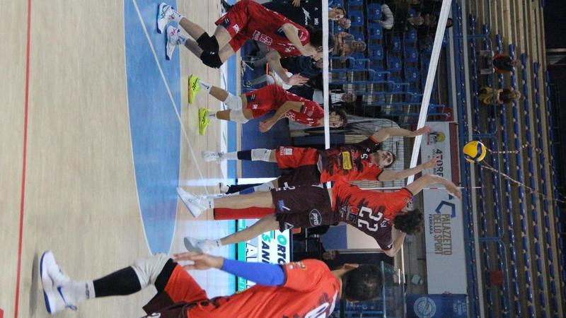 Cavallino 4 Torri in viaggio verso Macerata. Dall’Olio: 