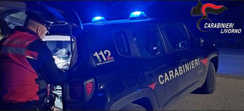 Suvereto, sorpresi a rubare i bancali a una ditta. Arrestati: chi sono