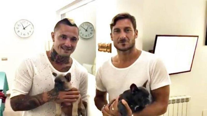 Truffa dei finti cani di razza, 4 rinvii a giudizio: usavano i vip per pubblicizzarli