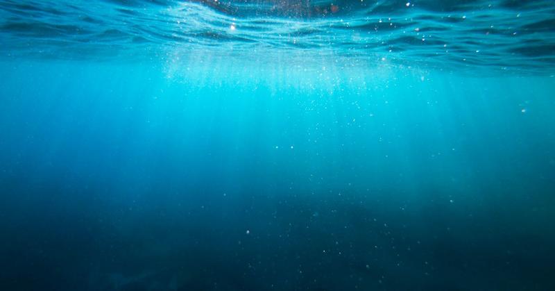 Floating in Darkness Can Calm Us and Quiet the Brain