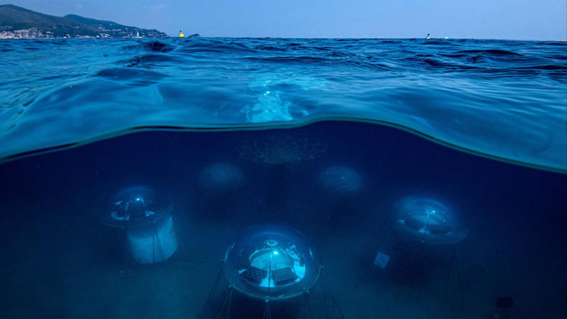 „Nemo’s Garden“: Tauchgang zu einer Vision