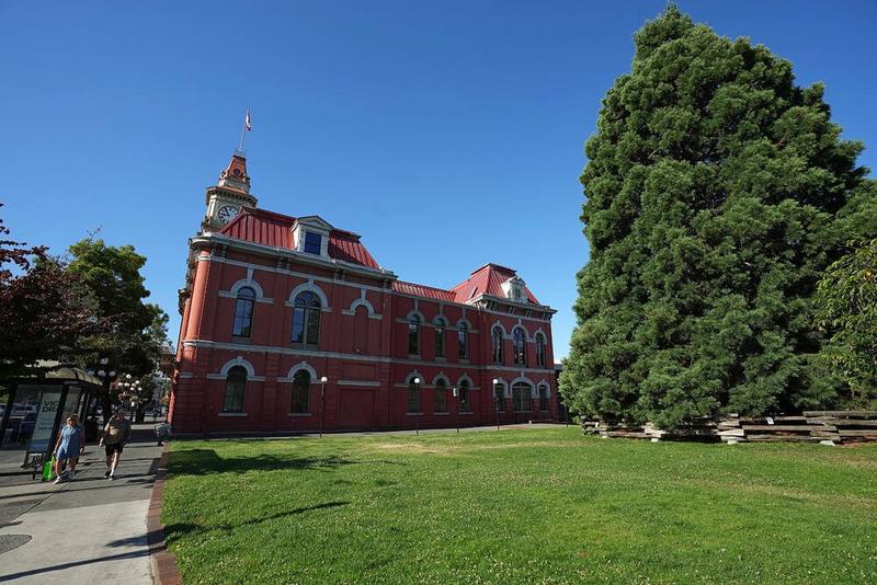 Letters Nov. 22: Victoria council is wasting money; remember the Holodomor Letters Nov. 22: Victoria council is wasting money; remember the Holodomor