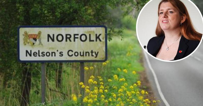 Public urged to have say over plans to axe all eight of Norfolk's councils