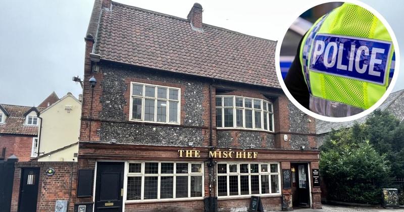 BB gun sniper probe continues