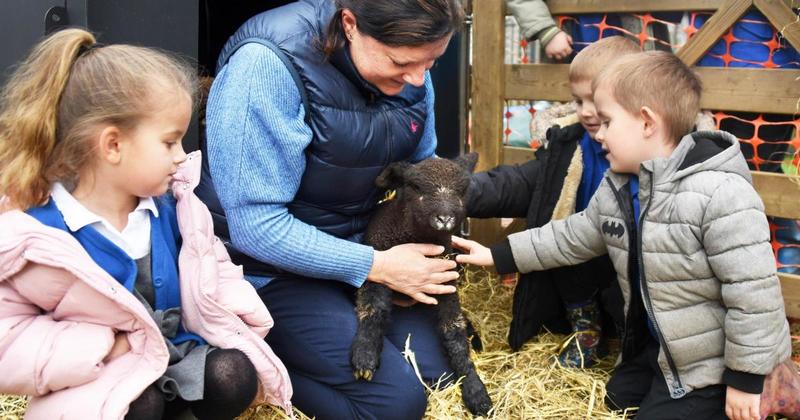 Flourishing Norfolk farm education project aims to roll out to schools nationwide
