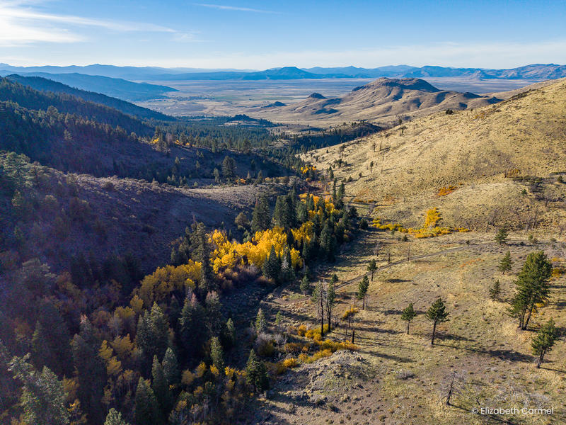10,000 acres north of Lake Tahoe to be returned to California tribe