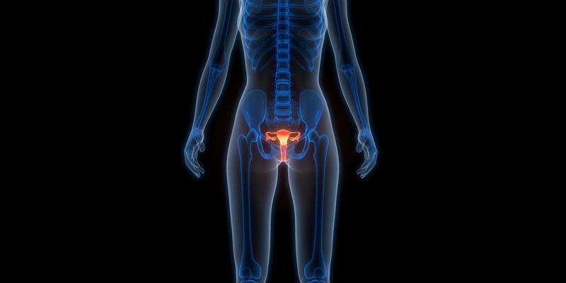 Liegt es in der Familie?