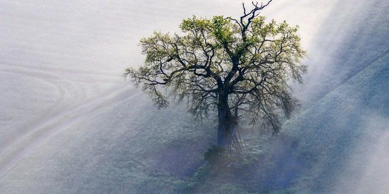Antonio Fian: Der Geist im Nebel Antonio Fian: Der Geist im Nebel