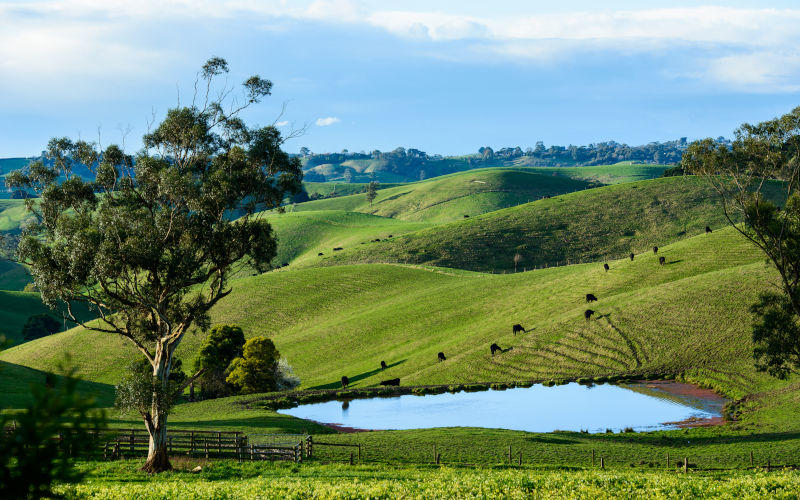 David Lindenmayer, Bruce Chapman and John Mitchell: A rare win-win for climate, farming and biodiversity – if policymakers act