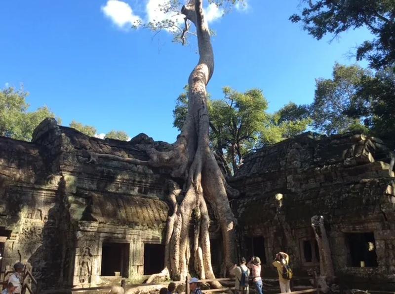 Desde otras ciudades