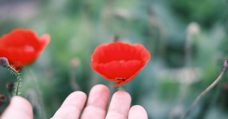 Emotional Growth: The Body Matures Faster Than Emotions