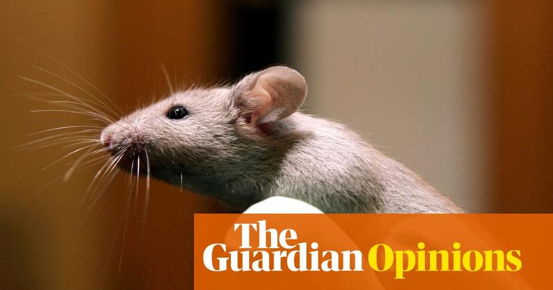 The Guardian view on animal testing: we can stop sacrificing millions of lives for our own health