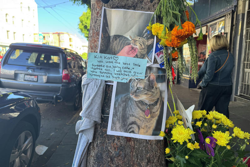 An exclusive interview with KitKat from the Great Beyond