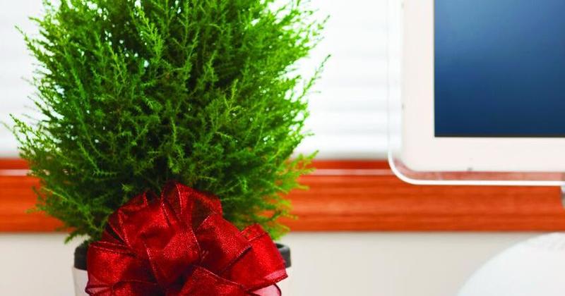 Workplace Wellness: A season for grace: Supporting mental health at work