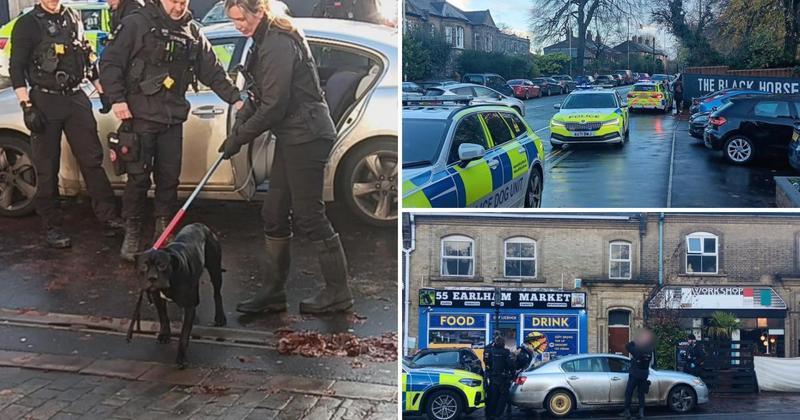 Man detained as police secure dog and pull 'super soaker' from car