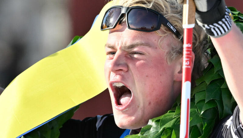 Svensk skandale Svensk skandale