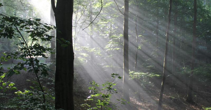 What to Do When You Don't Know What to Do