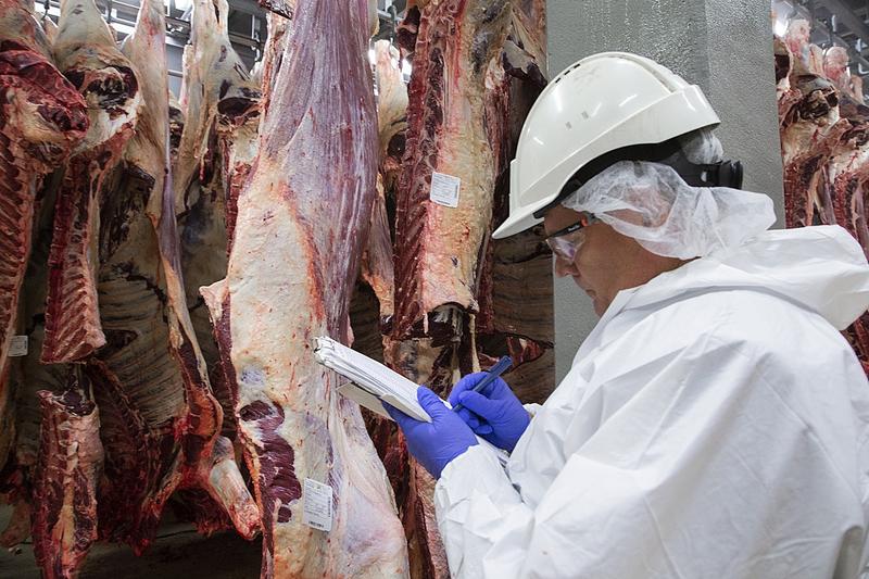 Elintarviketeollisuus | Yliö: Halal-markkinat kasvavat – Suomen elintarvikevienti vaarassa pudota kyydistä