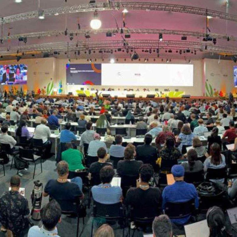A COP de Belém no país da Rio 92