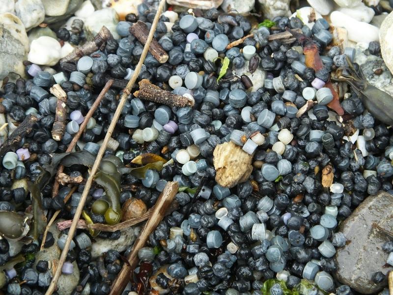 Plastic ‘bio-beads ’ from sewage plants are polluting the oceans and spreading superbugs – but there are alternatives