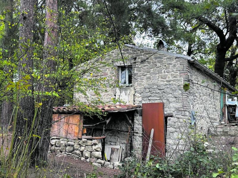 La casa nel bosco punita da leggi eccessive