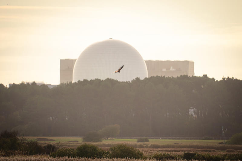 Toxic waste / Environmental regulations are killing nuclear power