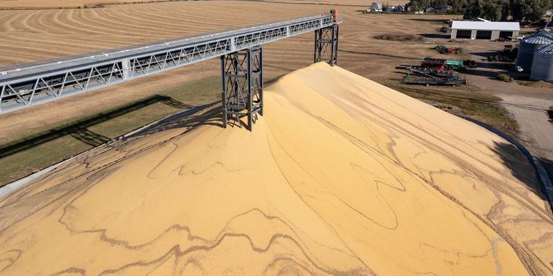 This Thanksgiving, Let’s Feed Families, Not Factory Farms