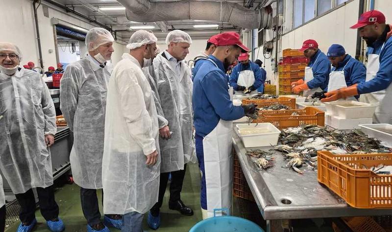 Goro, molluschi e granchio blu: «C’è un grande lavoro da fare»