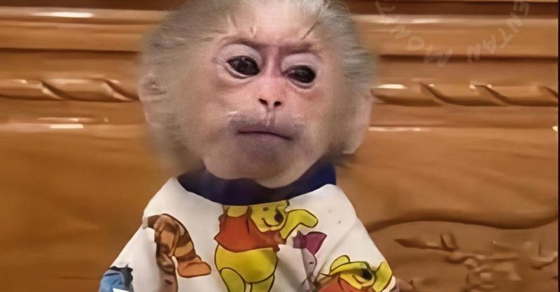 No sé qué responder