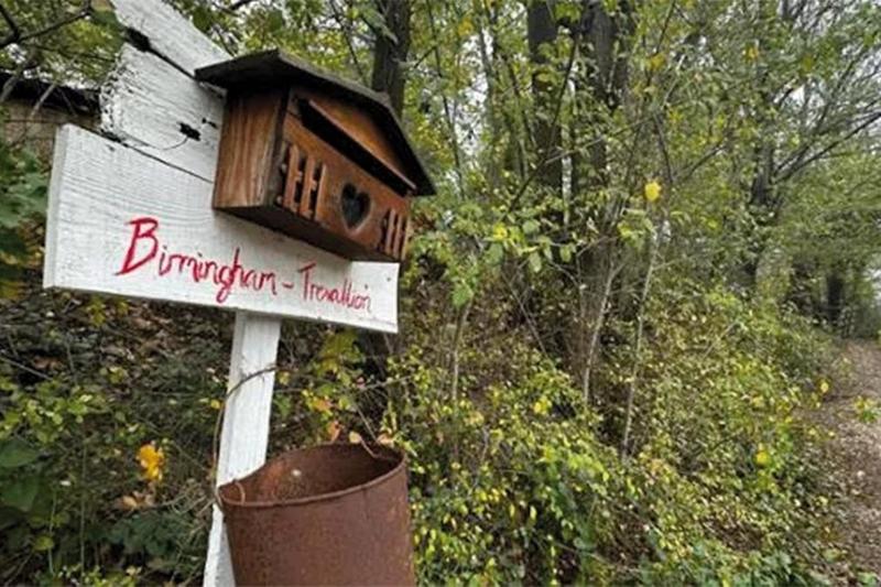 Dal “lupo” al “bosco”, cosa dicono gli atti sul caso Trevillion Dal “lupo” al “bosco”, cosa dicono gli atti sul caso Trevillion