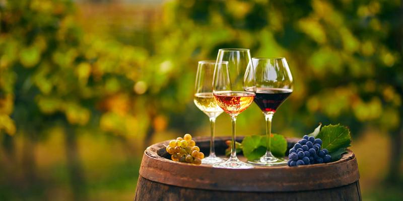 Migliori vini sotto i 20 euro in Emilia Romagna: ecco il top nella classifica del Gambero Rosso