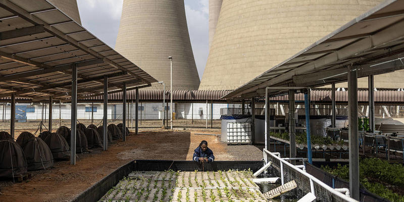 How Africa Can Meet Its Green Industrialization Imperative