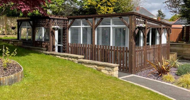 New luxury 'boutique hotel' for cats planned for Norfolk village