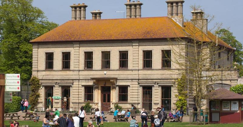 Zoo looking to get critically-endangered animal in new year