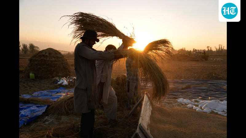 Strengthening the Frontline Against AMR: Building Progress Through Commitment Strengthening the Frontline Against AMR: Building Progress Through Commitment