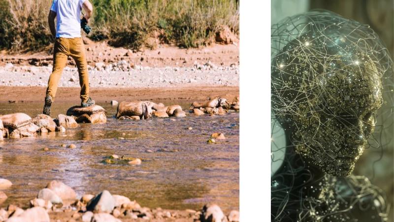 Matematik eğitiminde '-mış gibi yapma' tehlikesi: Toplumsal büyük kayıplar