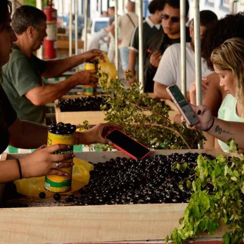 Festival da Jabuticaba é o Natal de Sabará