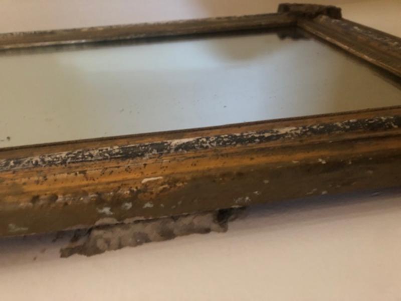 Çamur arısının sırrı